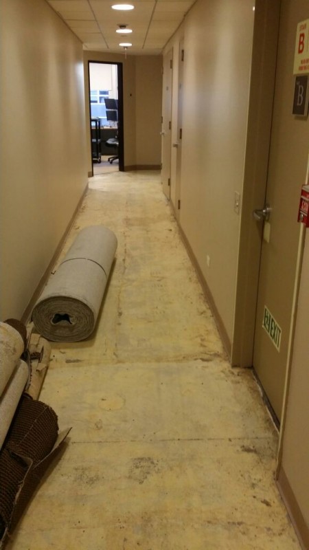 Office Hallway Carpet Installation -During NYC, Manhattan, Long Island